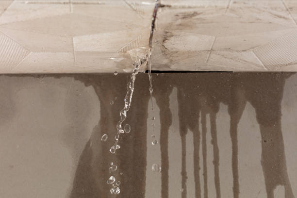 Professional Sewage Cleanup technician working in Palm Springs, FL